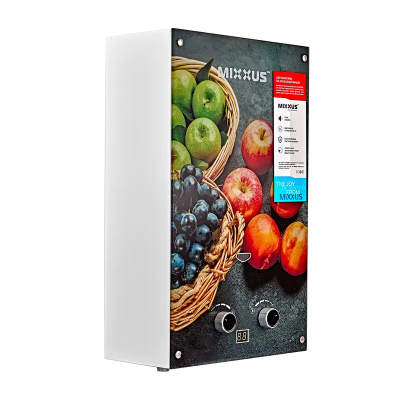 Колонка газовая дымоходная MIXXUS GWH-0310 BASIC GLASS 10 л/мин (панель из стекла с рисунком) (WH0024) Колонка газовая дымоходная MIXXUS GWH-0310 BASIC GLASS 10 л/мин (панель из стекла с рисунком) (WH0024)